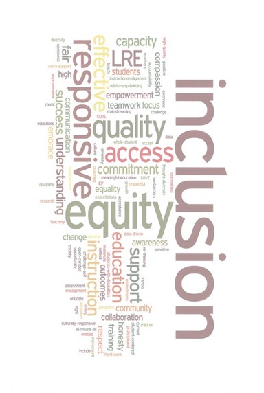 inclusion